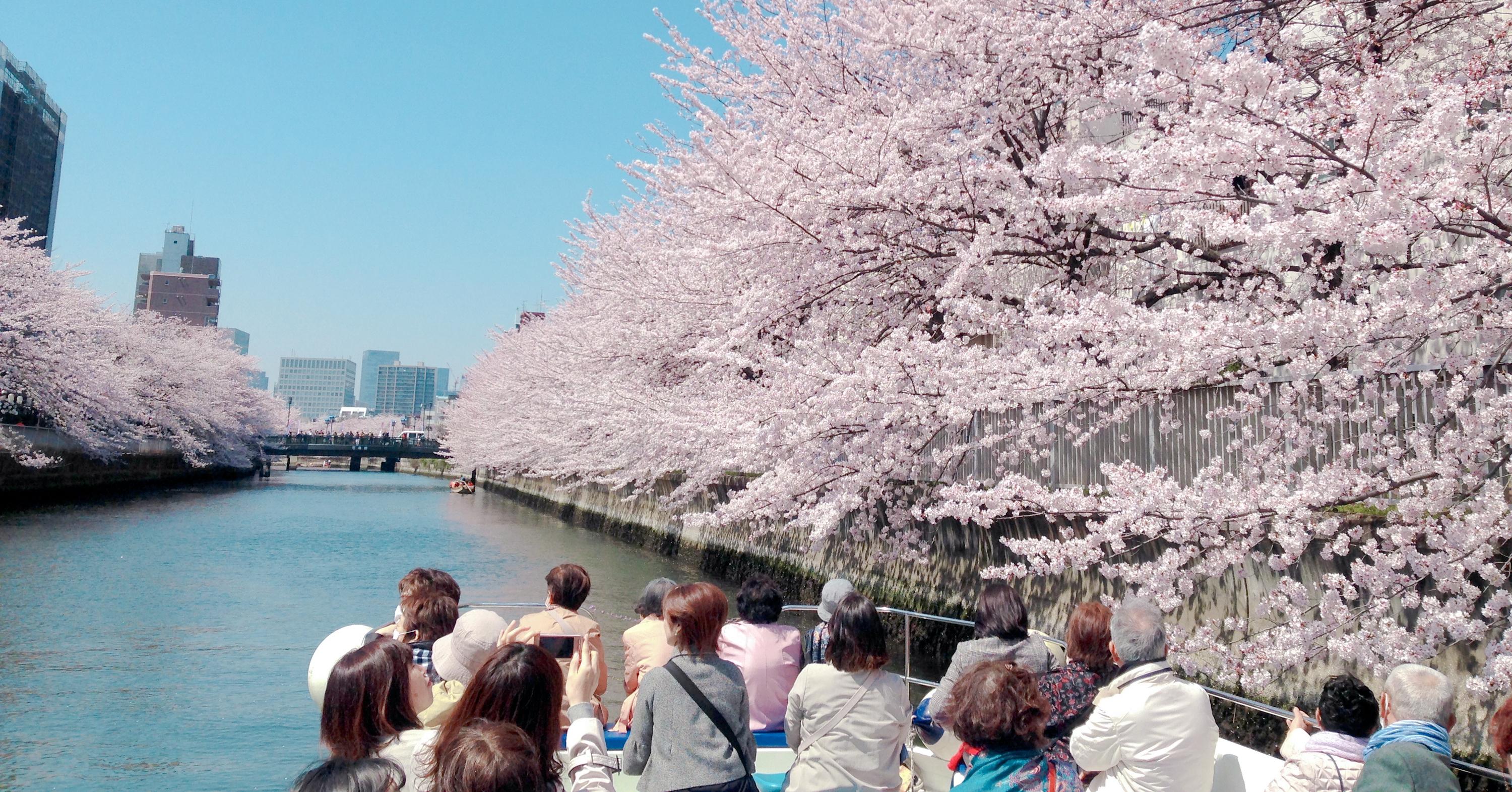 🏞️ 메구로 강 후나이리바 광장(메구로가와 후나이리바 프라자) 이미지 1